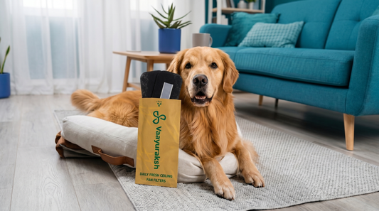 "Pet Dander and Indoor Air Quality: What Every Indian Pet Owner Needs to Know"